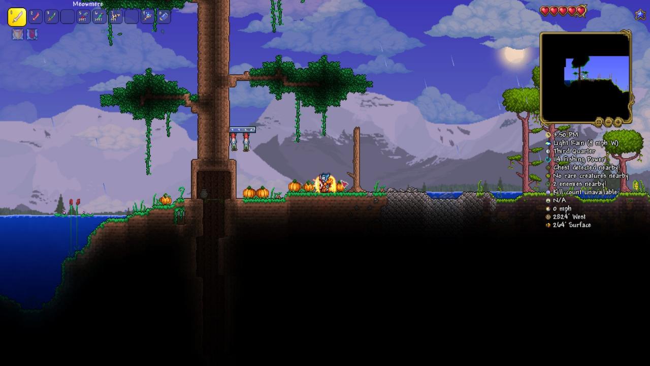 Terraria снежная буря в бутылке фото 39